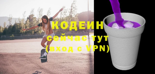 шишки Верхний Тагил
