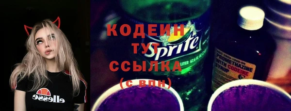 шишки Верхний Тагил
