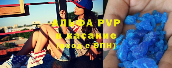 шишки Верхний Тагил