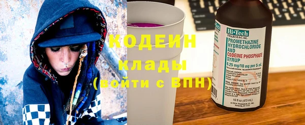 шишки Верхний Тагил