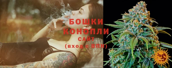 шишки Верхний Тагил