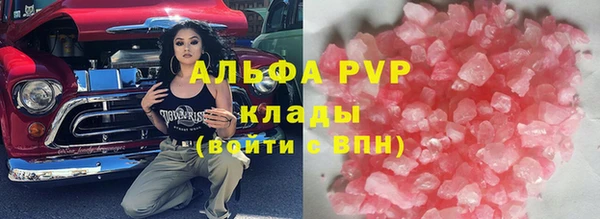 шишки Верхний Тагил