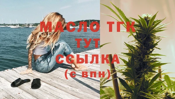шишки Верхний Тагил