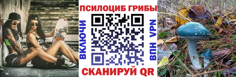 сколько стоит  Новошахтинск  Псилоцибиновые грибы мухоморы 